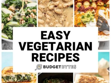Collage of vegetarian recipe images with title text in the center.