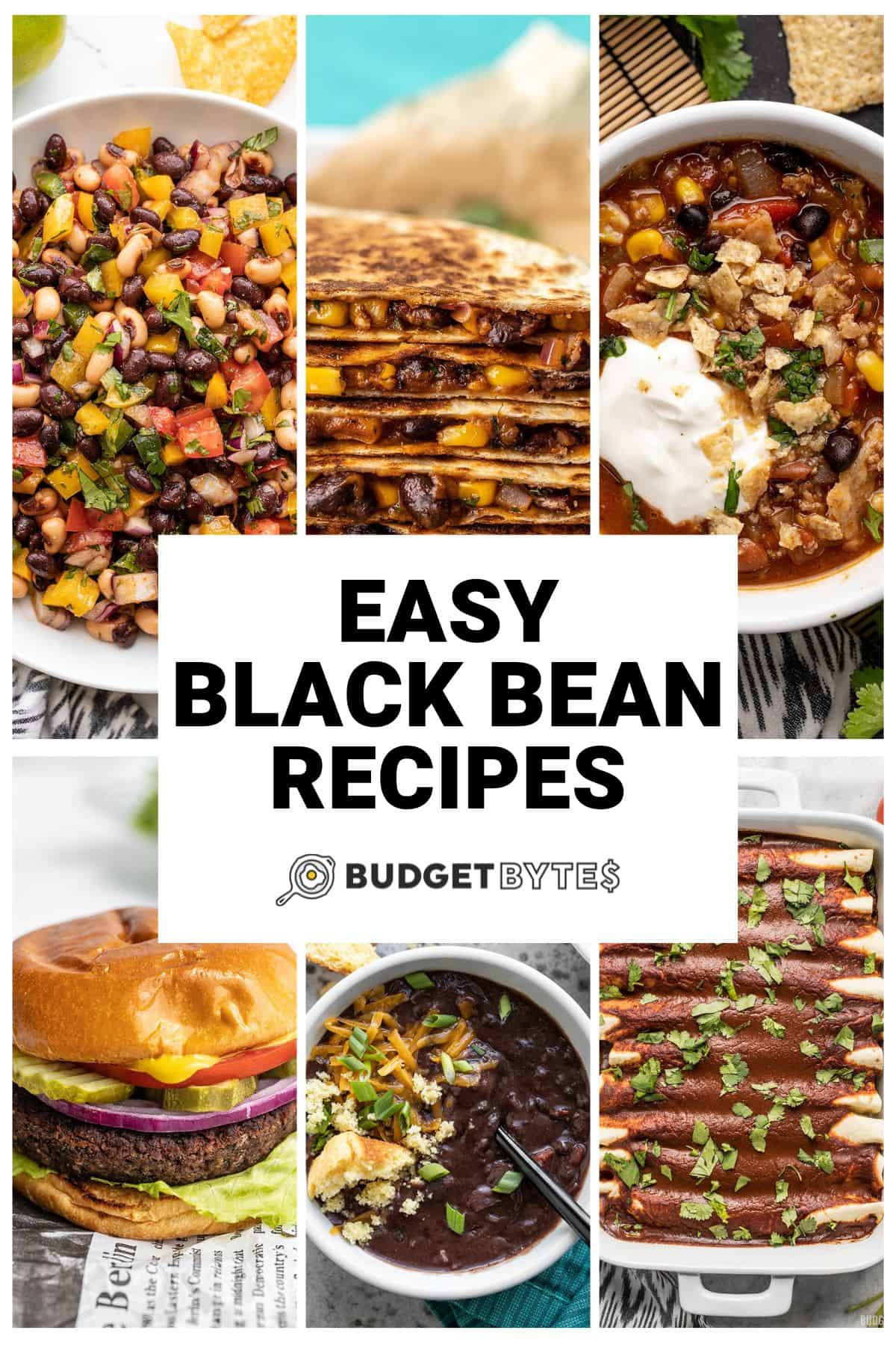 https://www.budgetbytes.com/wp-content/uploads/2023/07/Black-Bean-Recipes-V.jpg