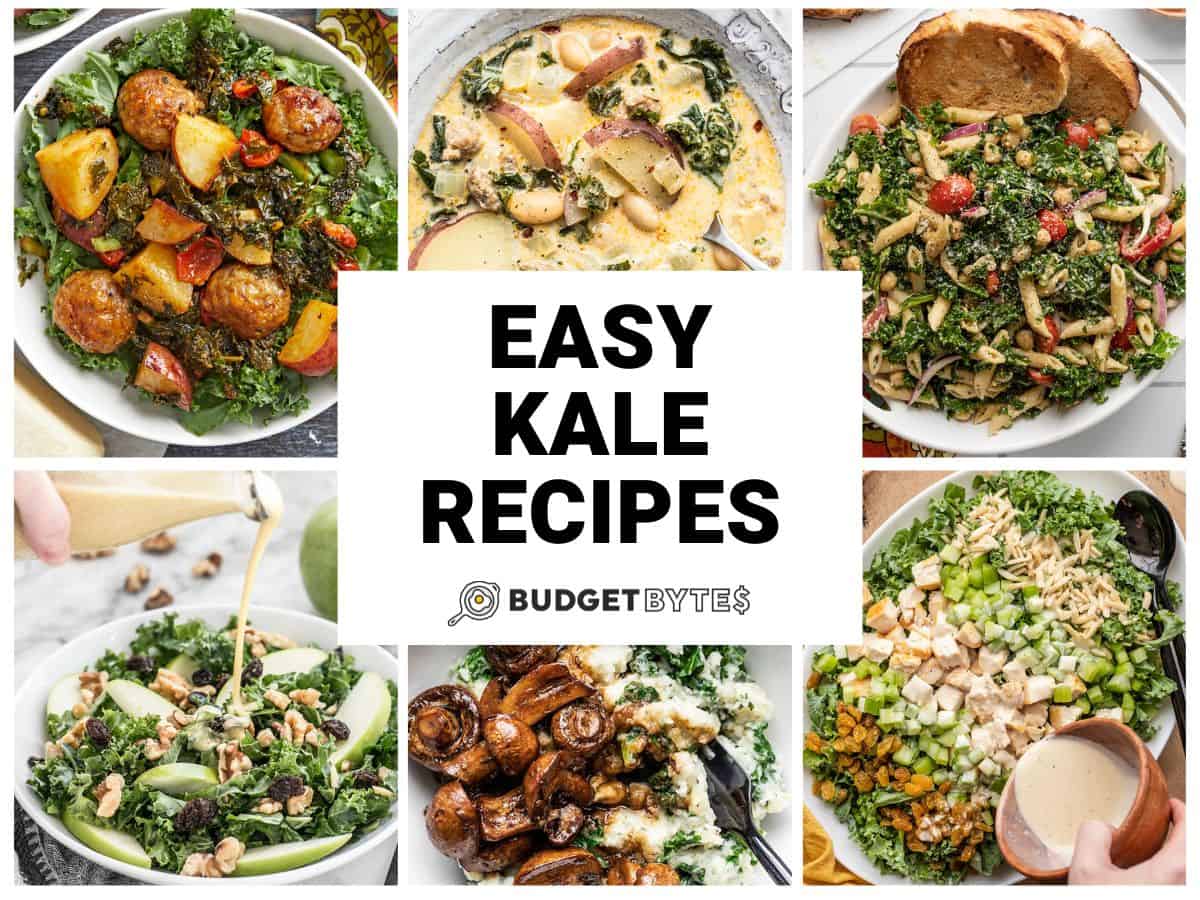 Quick & Easy Dinner Ideas - Budget Bytes