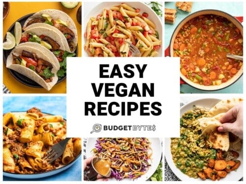 Easy Vegan Recipes - Food Crazies