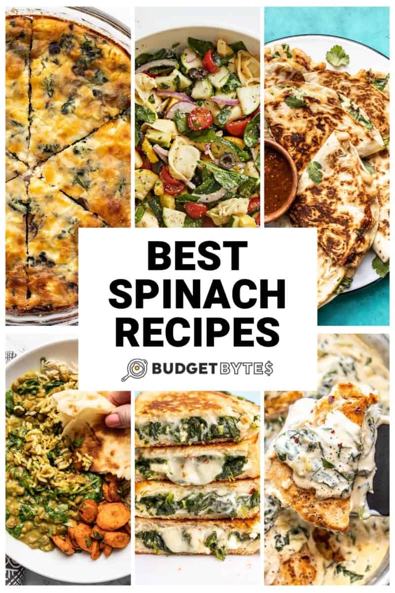 Collage of six spinach recipes with title text in the center.