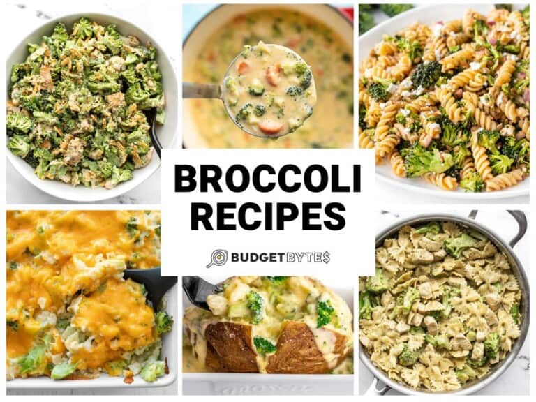 Broccoli Recipes Budget Bytes