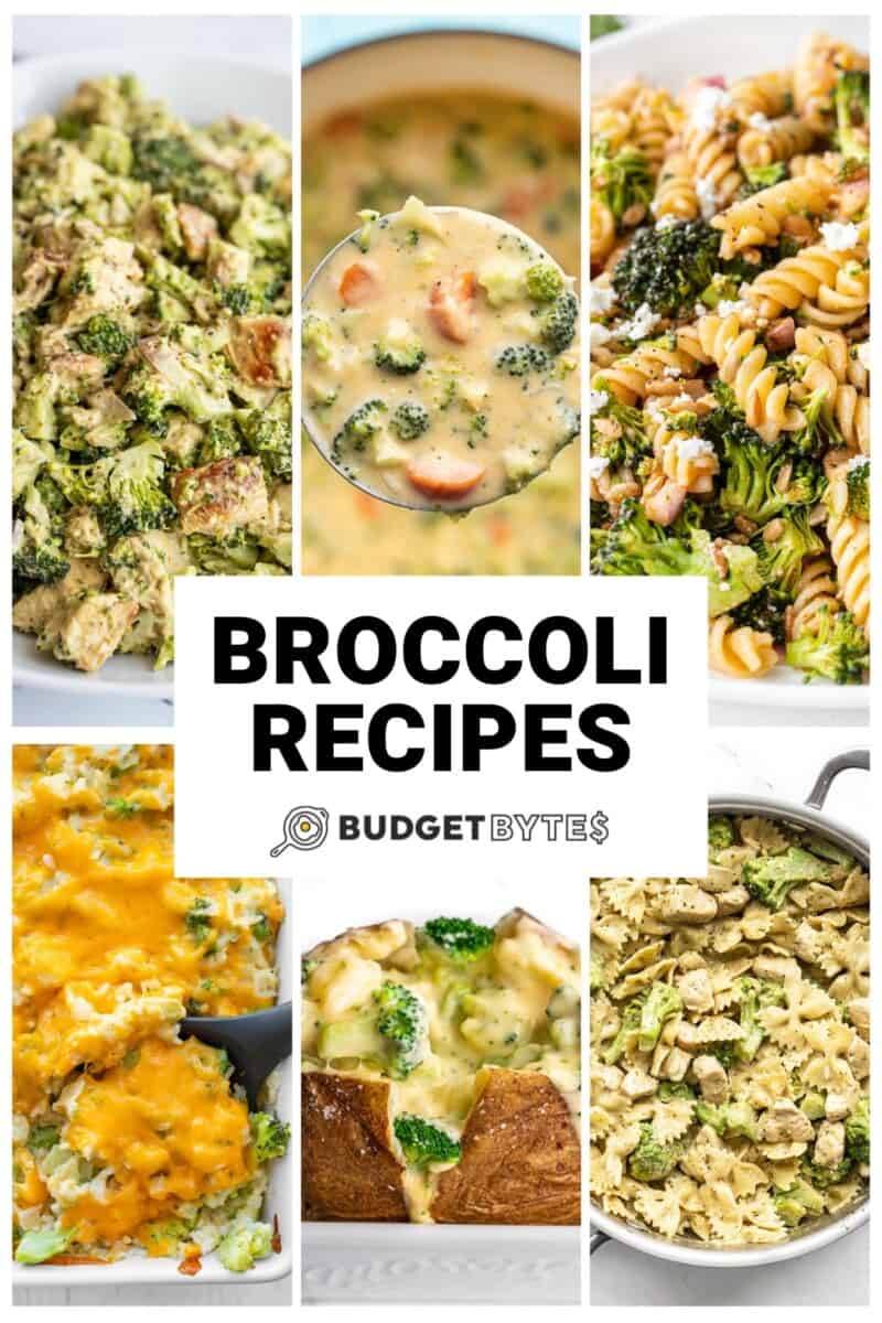 Collage of six broccoli recipes with title text in the center.