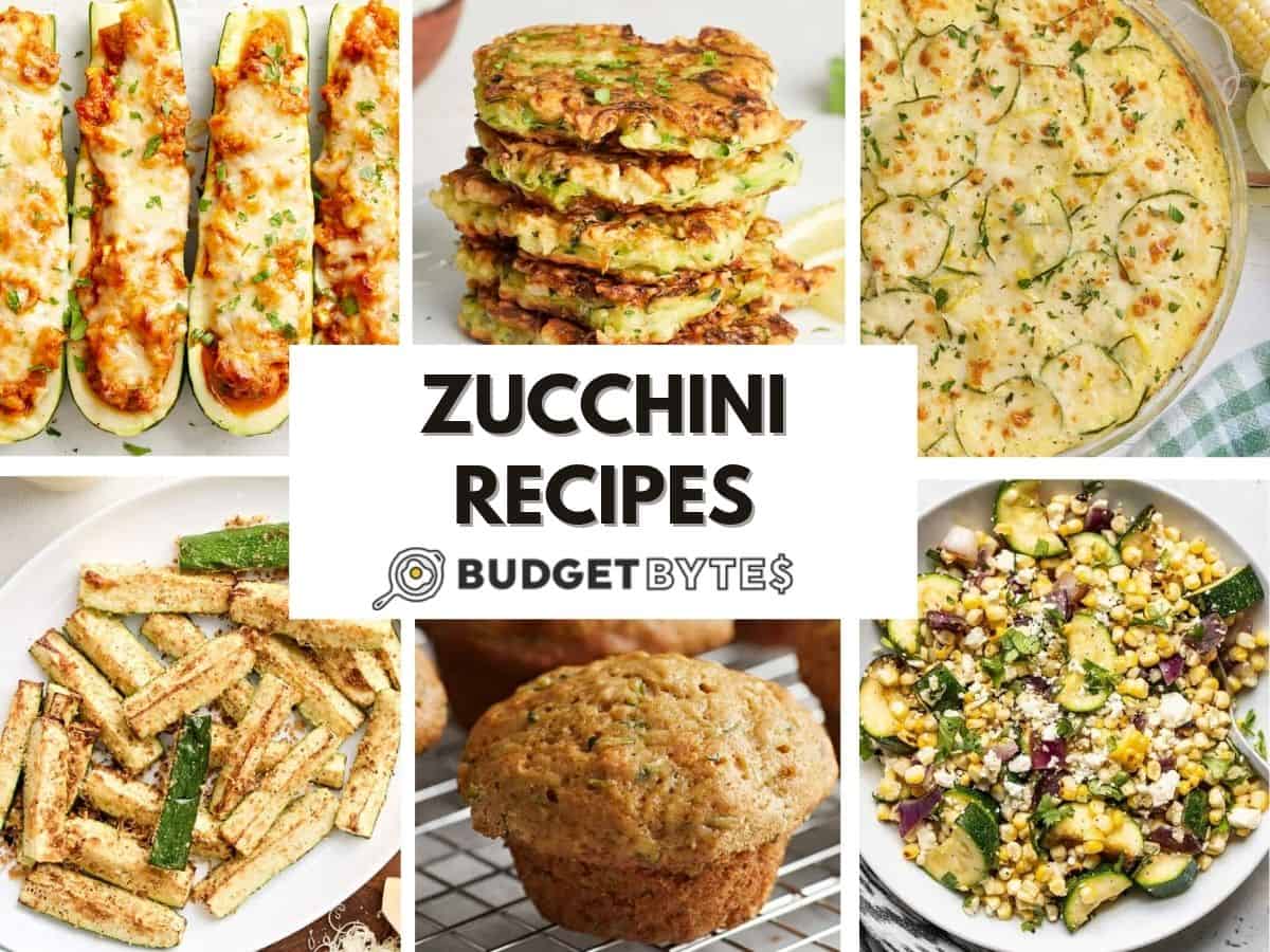 Zucchini Recipes – Price range Bytes Zucchini Recipes – Price range Bytes