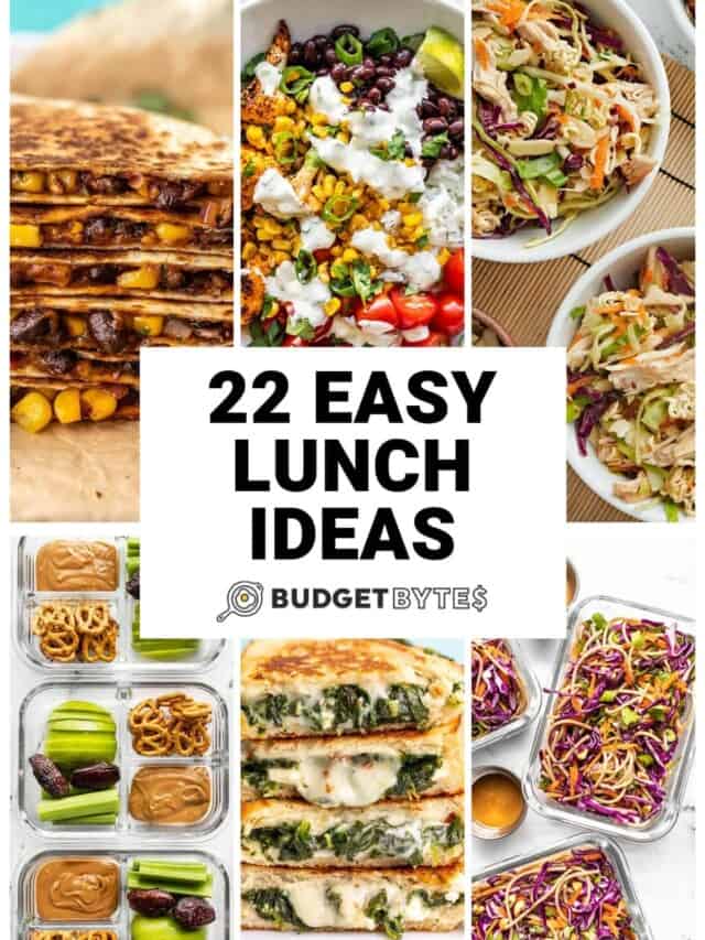 22 Easy Lunch Ideas - Budget Bytes