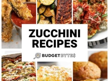 Six zucchini recipes in a collage with the title text in the center.