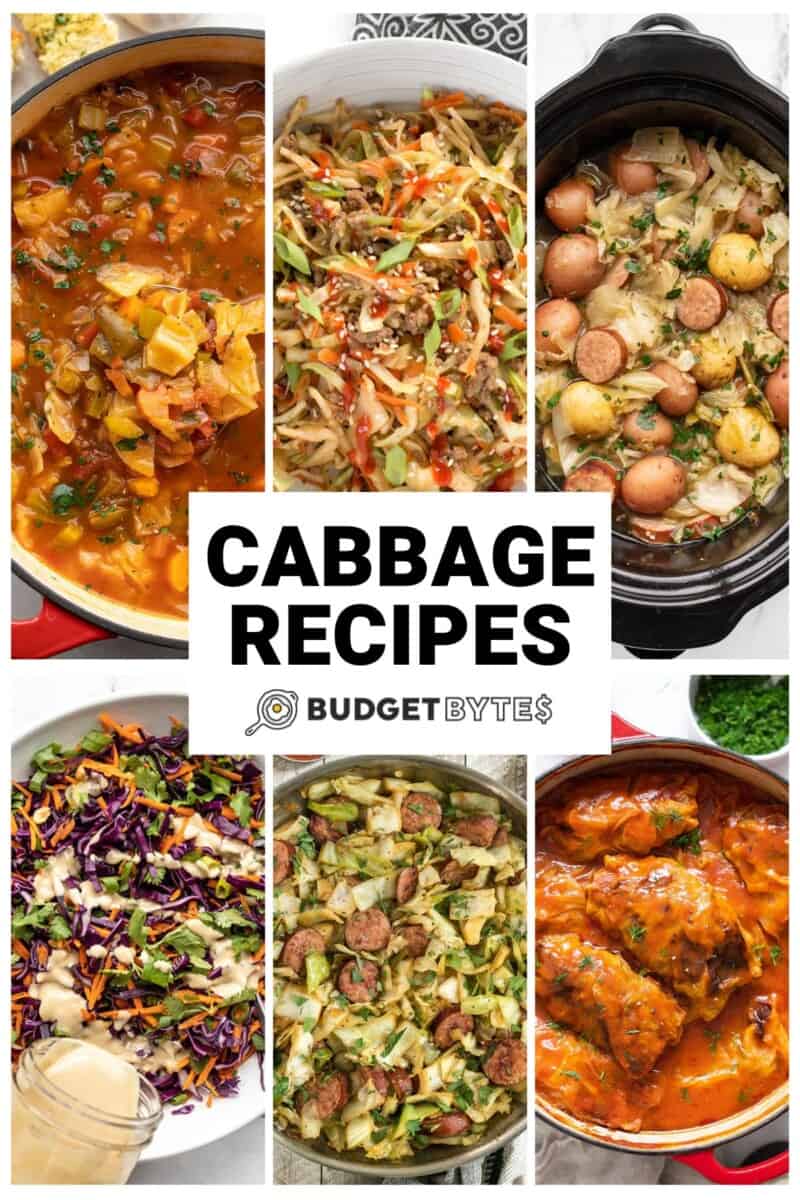 Collage of six cabbage recipes with title text in the center.