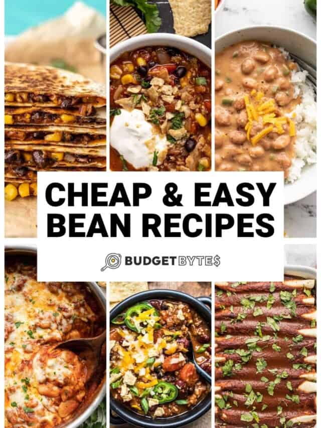 Cheap and Easy Bean Recipes! Budget Bytes
