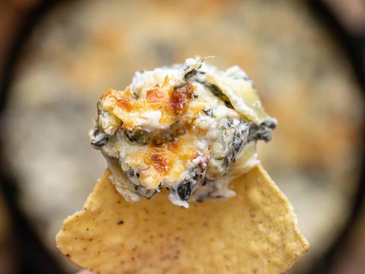 Close up of spinach artichoke dip on a tortilla chip.