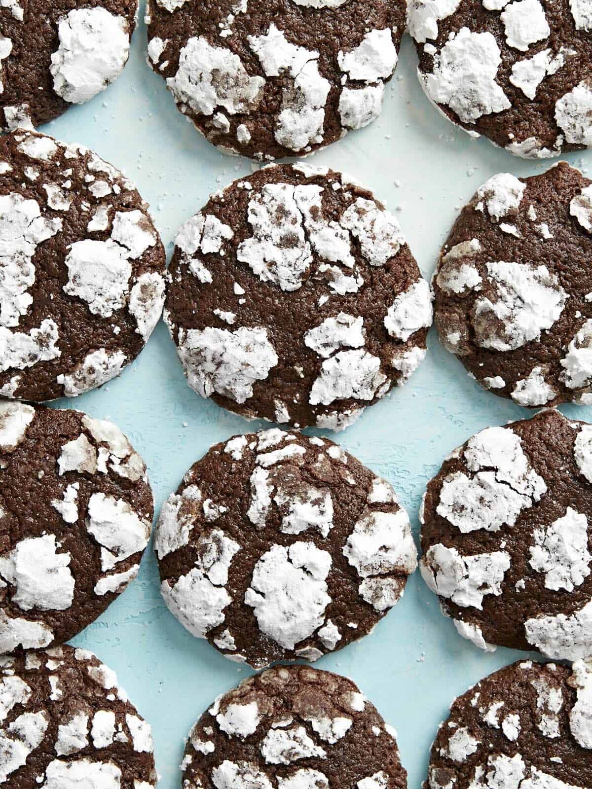 Overhead view of chocolate crinkle cookies lined up on an aqua background.