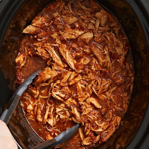 Crock Pot Salsa Chicken - Budget Bytes