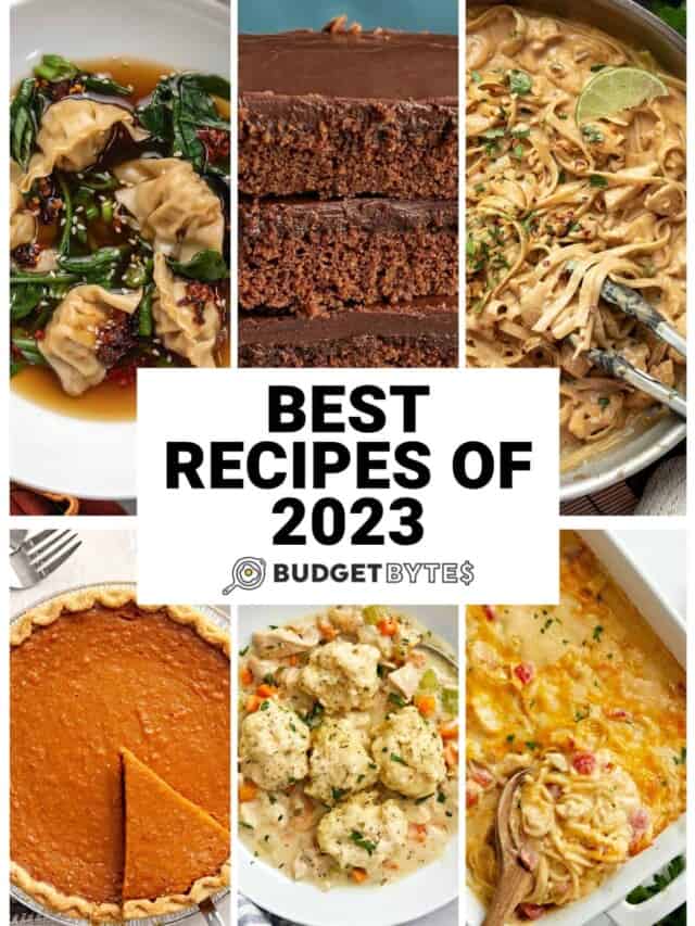 Best Recipes of 2023!