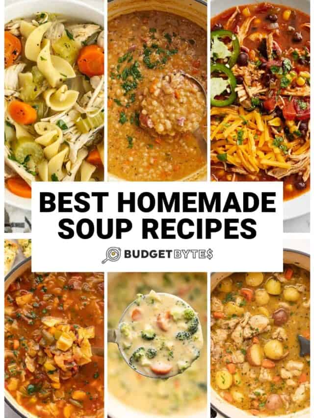 Best Homemade Soup Recipes