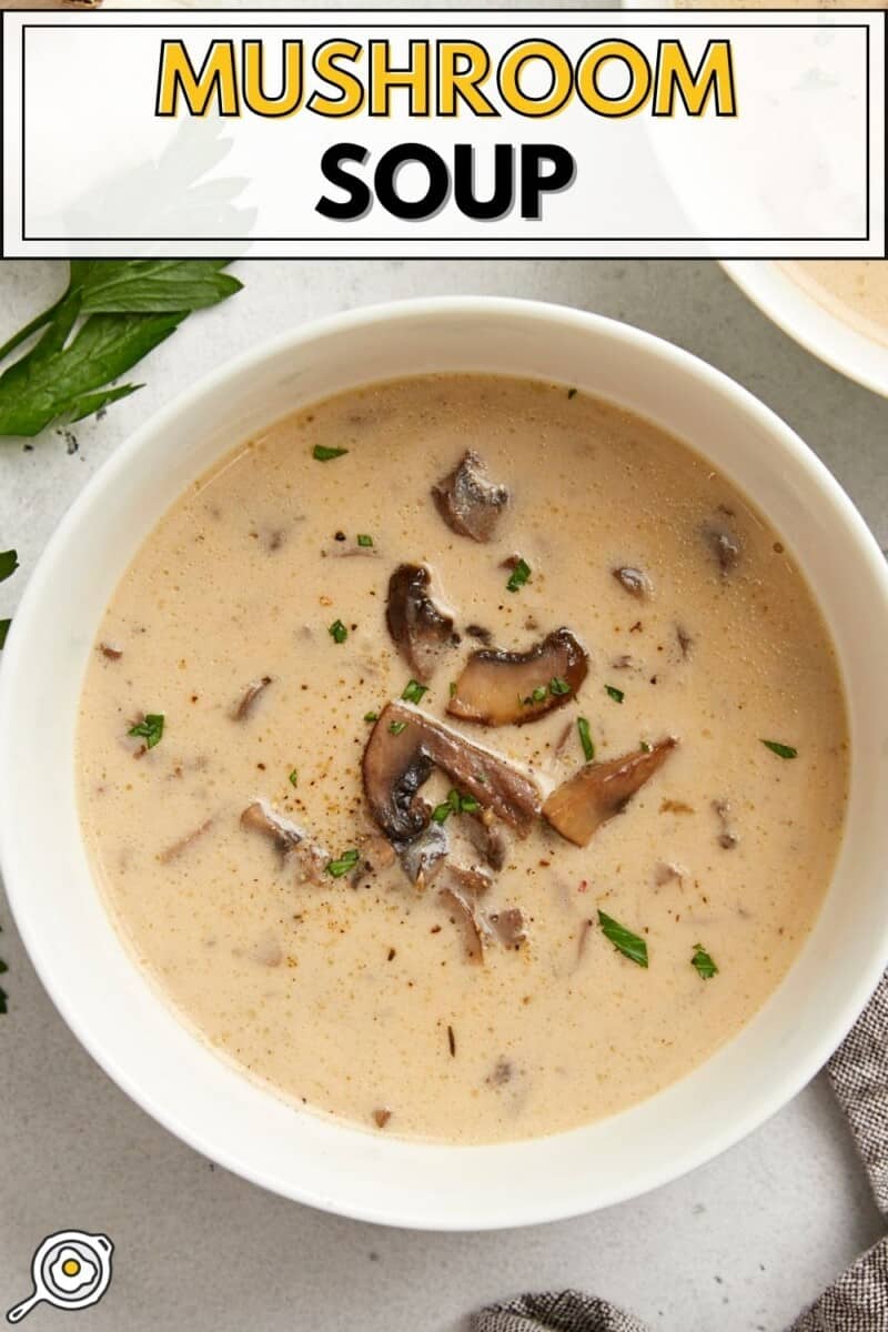 Overhead view of a bowl of creamy mushroom soup.