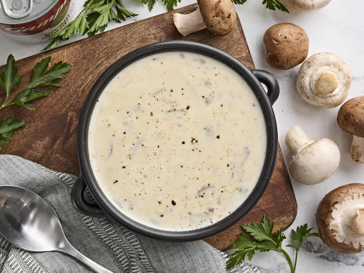 Overhead view of a bowl of cream of mushroom soup.