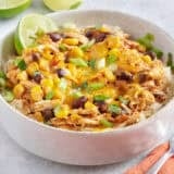taco chicken bowl served up