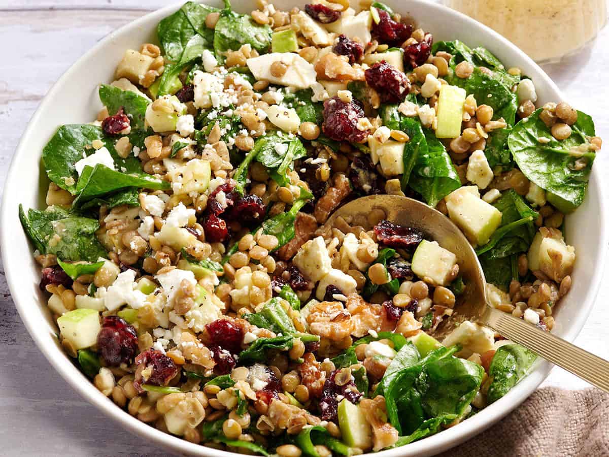 Side view of a lentil and cranberry salad in a bowl with a spoon.