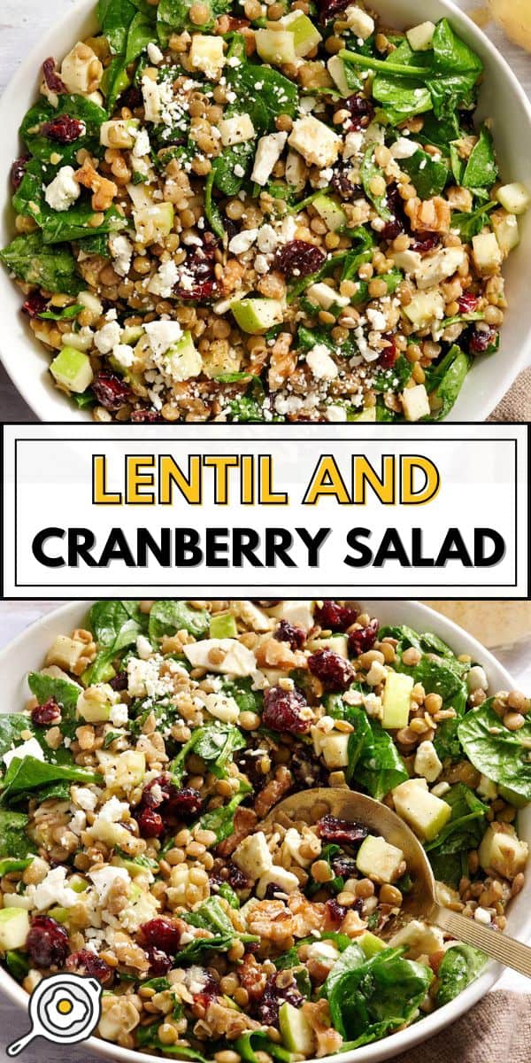 lentil and cranberry salad pin image