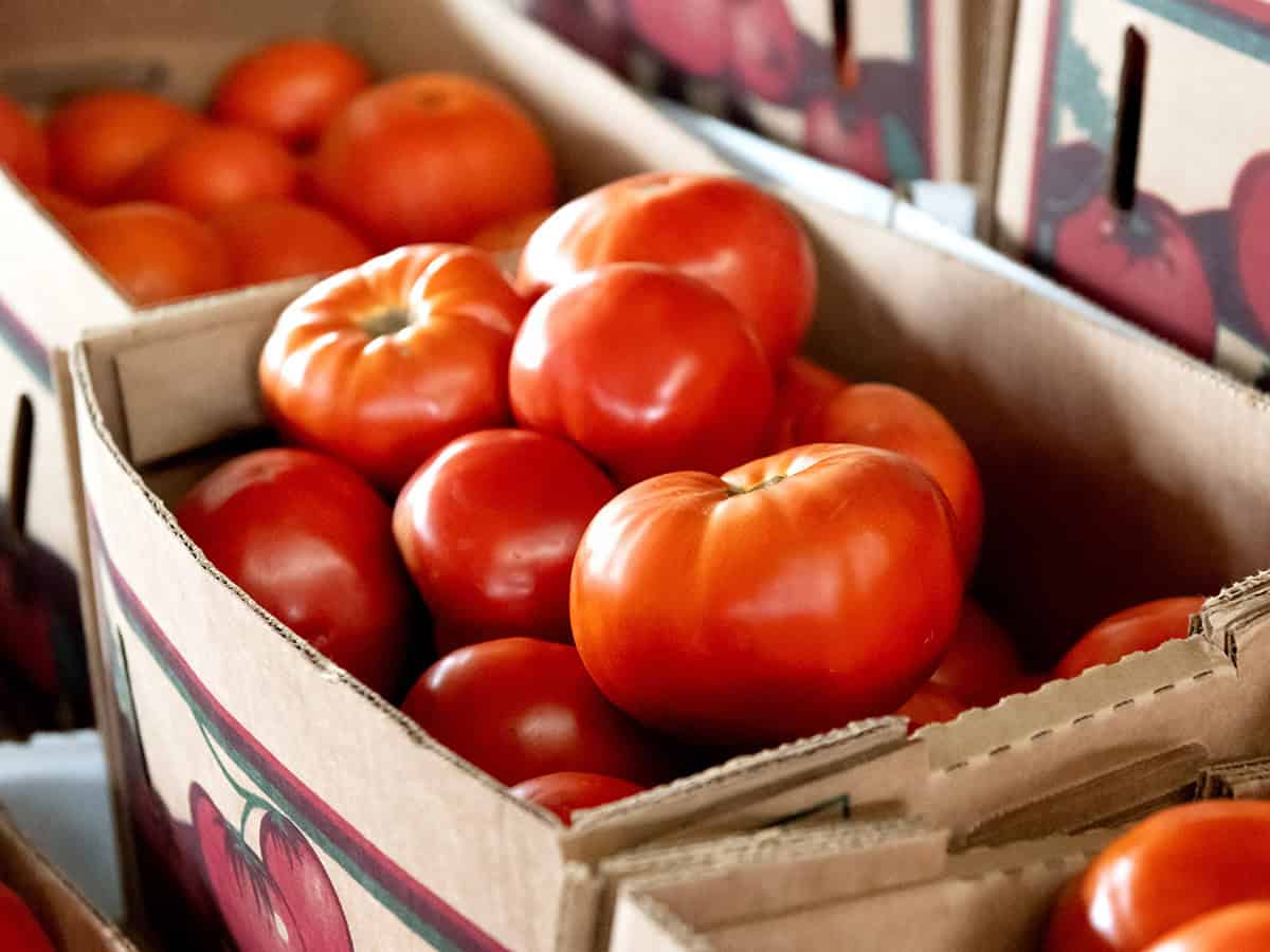 box of tomatoes at a farmers market
