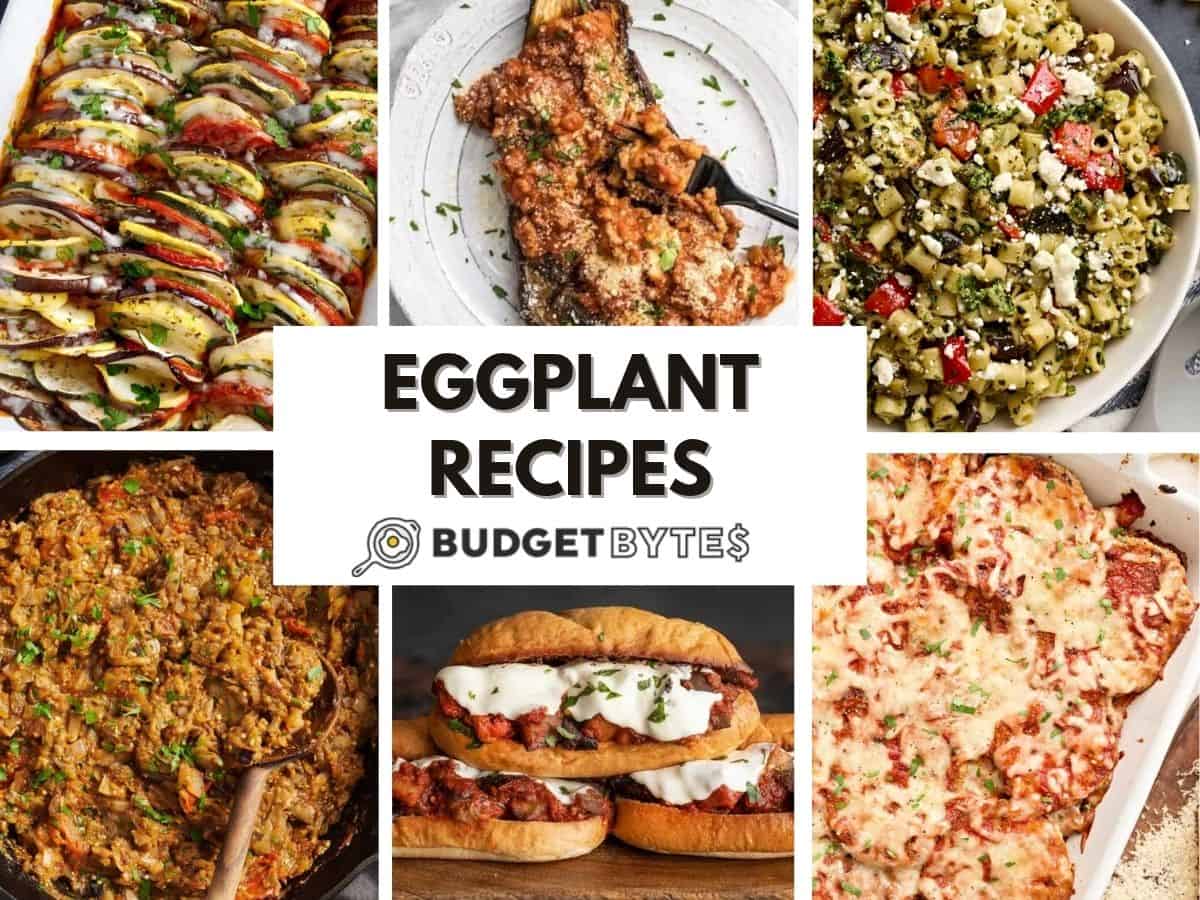 A collage of eggplant recipes.