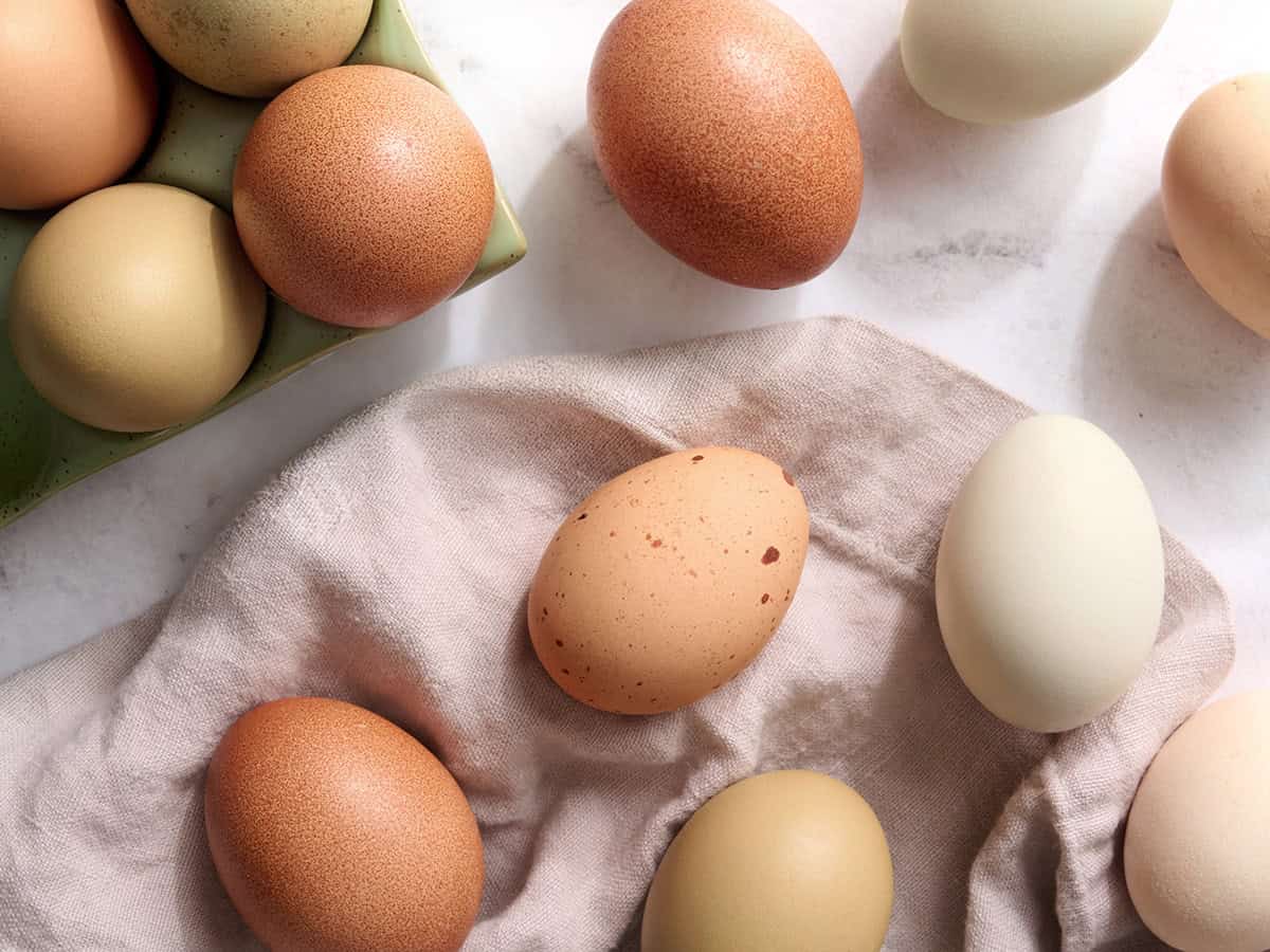 multiple eggs on a counter