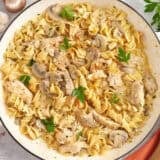 Overhead view of a pot of chicken stroganoff.