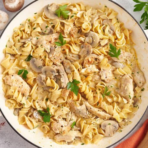 Overhead view of a pot of chicken stroganoff.