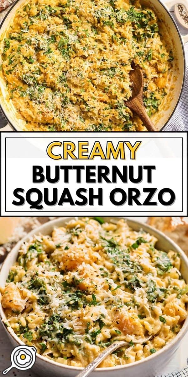 butternut squash orzo pin image