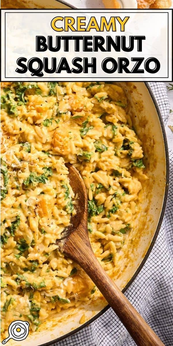 butternut squash orzo pin image