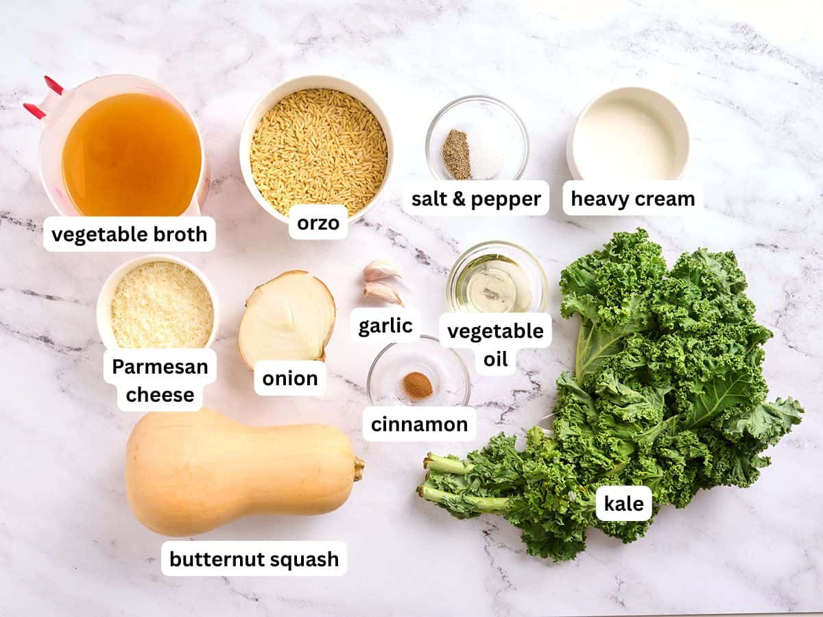 The ingredients for creamy butternut squash orzo with labels.