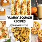 squash featured image collage