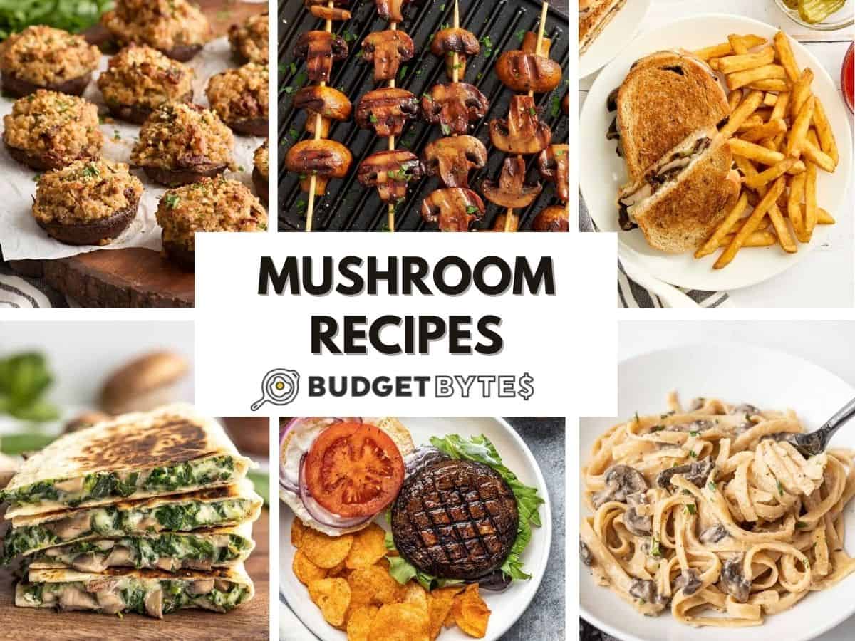 A photo collage of mushroom recipes.