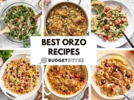 A collage of orzo recipes.